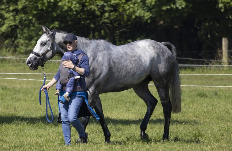 zara lucas tindall